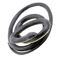 thumbnail image 2 of 1pcs Halloween Snake Toy For Halloween Decorations, 2 of 2