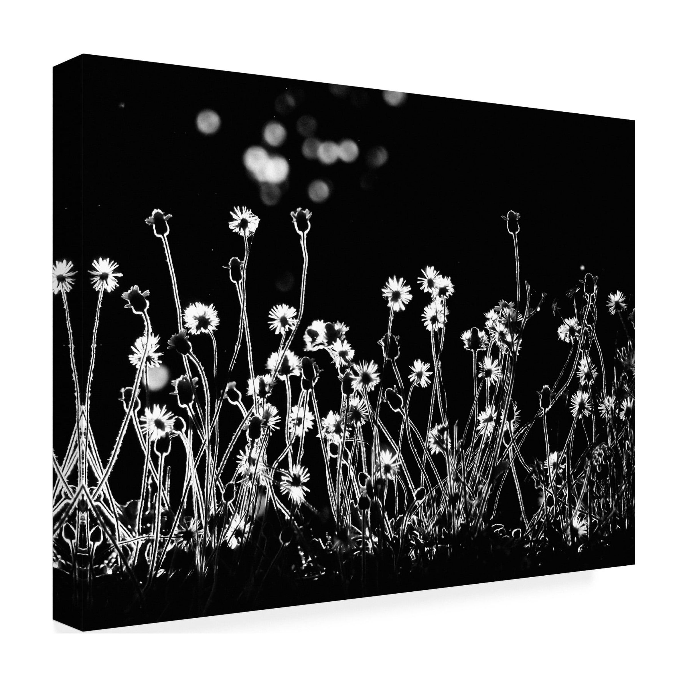 Kahar Lagaa 'The Little Flowers' Canvas Art