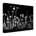 thumbnail image 4 of Kahar Lagaa 'The Little Flowers' Canvas Art, 4 of 4