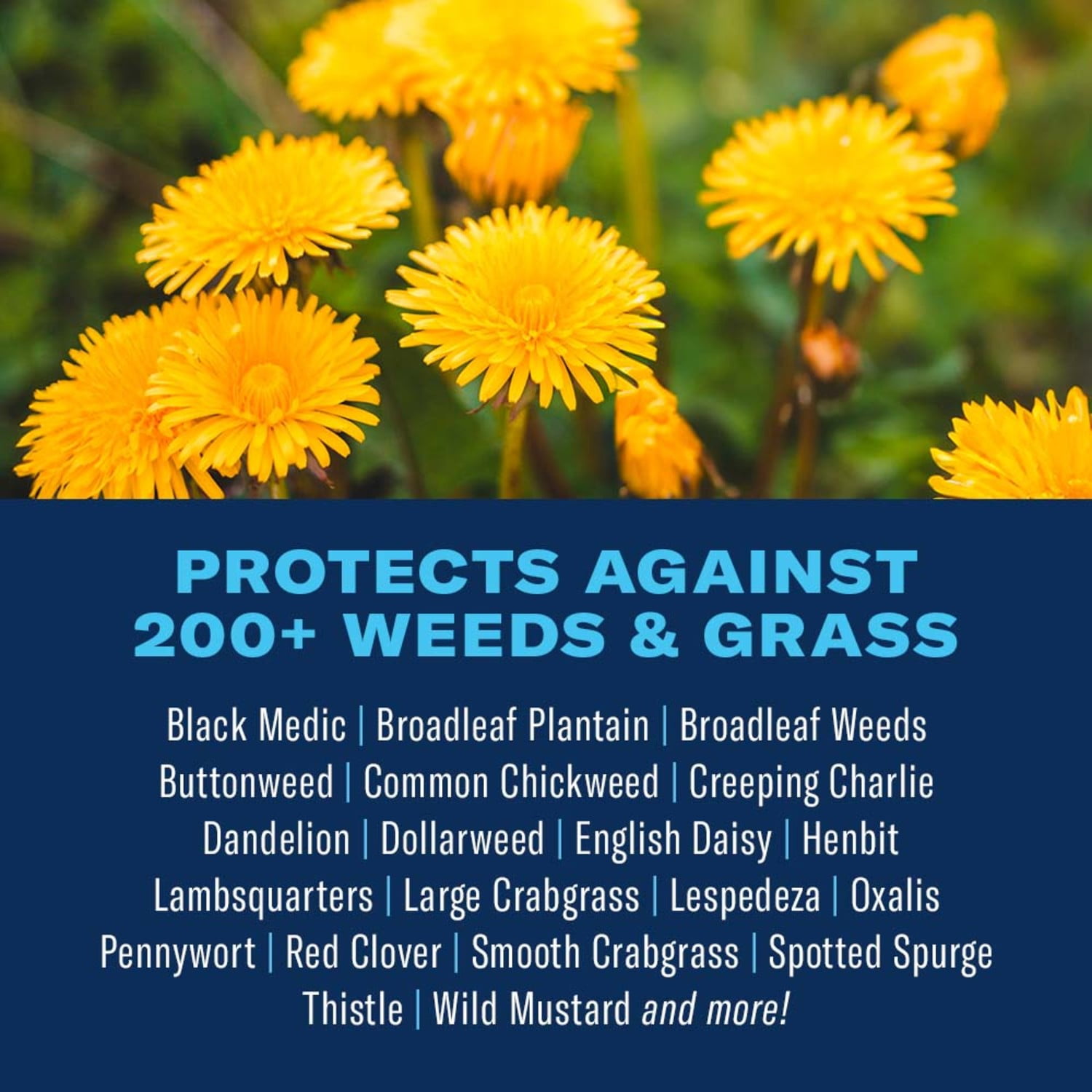 BioAdvanced All-In-One Lawn Weed and Crabgrass Killer I, Ready-to-Use, 1.3 Gal (2-Pack)