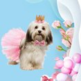 thumbnail image 1 of OULII Princess Pet Costume Dog Accessories 1 Set Pink for Walking, 1 of 8