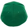 thumbnail image 4 of Nintendo Super Mario Luigi Green Flex Fit Baseball Cap, 4 of 4
