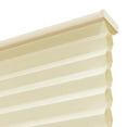 thumbnail image 3 of Lumi Cordless White/ Ivory/ Mocha Honeycomb POP Shades Light Filtering 24 W x 64 H Inches - Ivory, 3 of 5