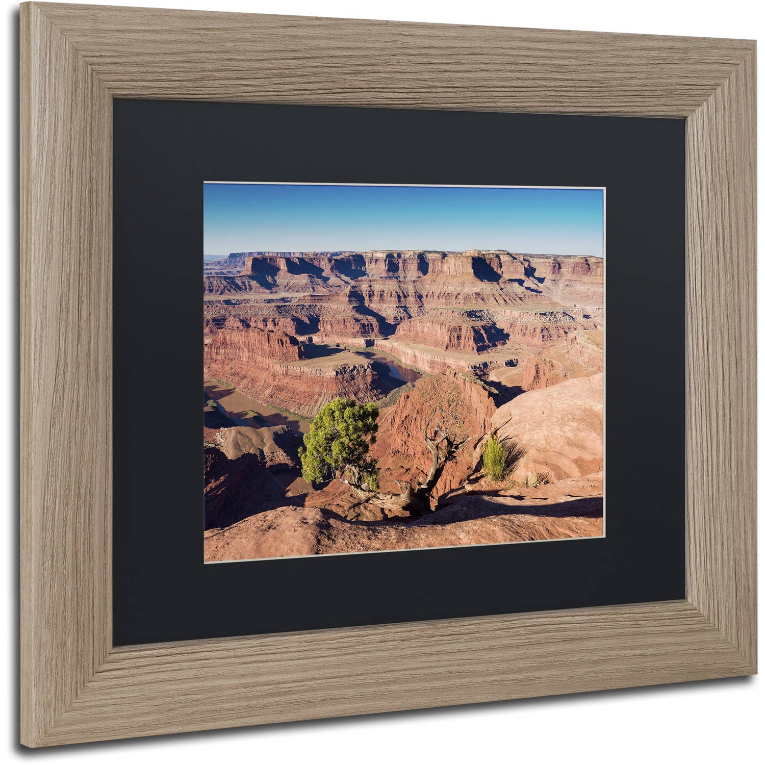 Trademark Fine Art "Canyonlands Sunrise" Canvas Art by Michael Blanchette Photography Black Matte, Birch Frame