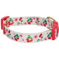 thumbnail image 1 of Collar de perro Blueberry Pet con flores turquesas y rosas para perros pequeños, 1 of 8