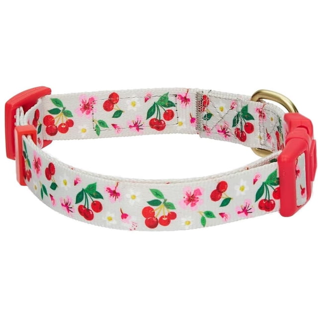 Collar de perro Blueberry Pet con flores turquesas y rosas para perros pequeños