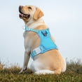 thumbnail image 7 of Jewyow No Pull Dog Harness, Adjustable Dog Vest with Soft Padding, Heavy Duty Dog Harness for Small, Medium, Large Dogs(Blue,S), 7 of 7