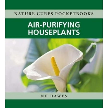Air-purifying Houseplants