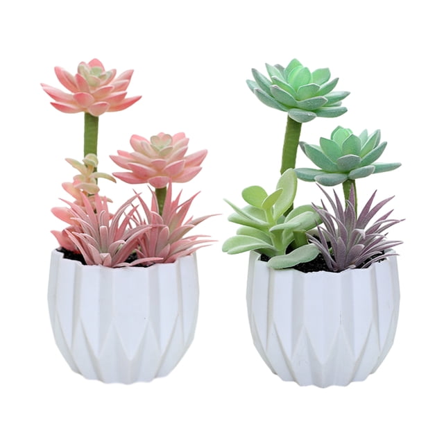 2 uds simulación suculentas bonsái adornos creativos plantas artificiales decoración interior