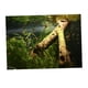 thumbnail image 5 of Fondo de Acuario Colco Static Fish Aquarium S Madera subacuática, 5 of 8