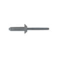 thumbnail image 1 of DYN-6501RX 0.20 & 0.46 in. Blind Rivets - GM, 0.06-0.17 in. Length - Black Nylon - 3 Piece, 1 of 1