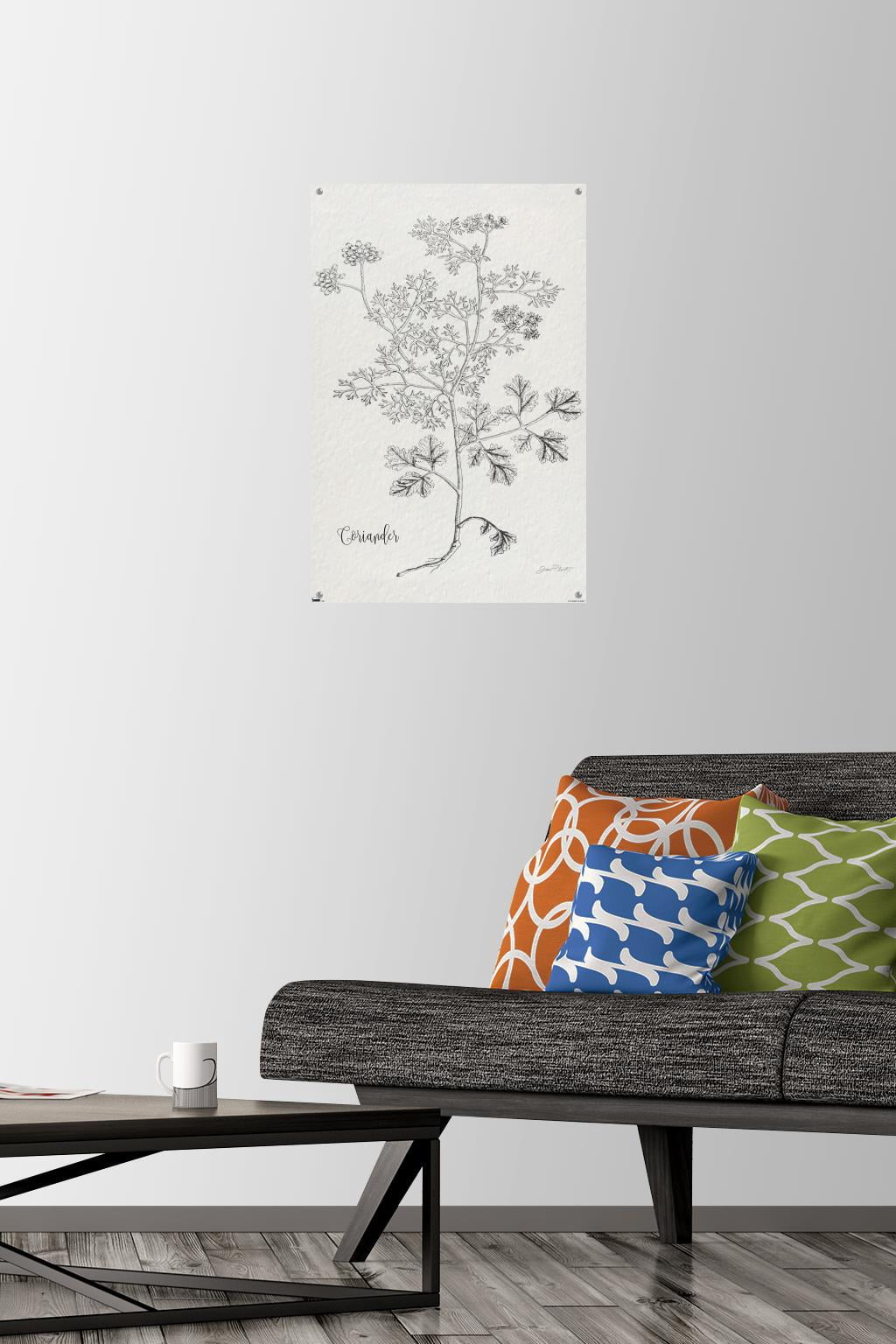 Jean Plout - Botanical Studies on Paper Coriander Wall Poster with Push Pins, 14.725" x 22.375"