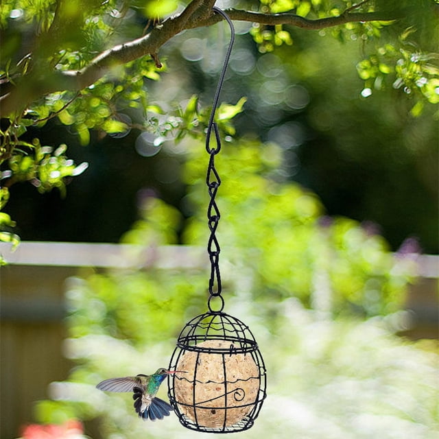 Xihbxyly Comedero para Pájaros de Exterior, Jaula de Hierro Resistente, Estructura Transparente para Fácil Observación, Diseño Colgante para Jardín y Patio, Atrae Pájaros, 9,5 X 7 X 7 Cm, Paquete de