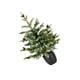 thumbnail image 4 of Mini árbol de Navidad artificial, adorno decorativo para el hogar, vívido 60 centímetros, 4 of 9