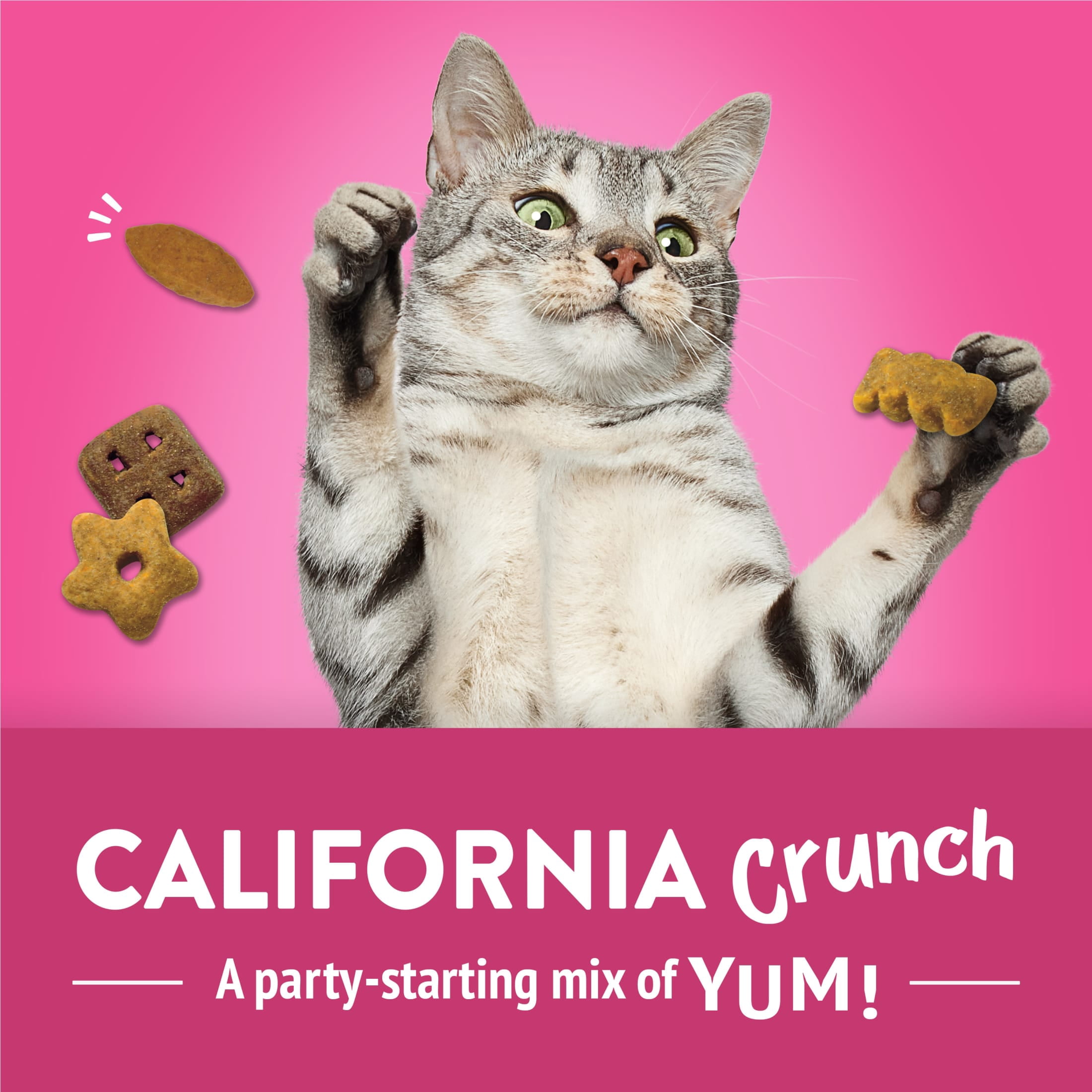 (2 pack) Purina Friskies Cat Treats, Party Mix California Crunch With Chicken, 6 oz, 6 Pack