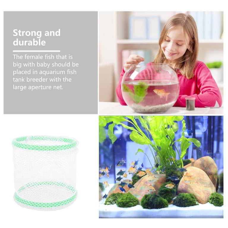 breeding nets for tropical fish BMIROAMDFE Large Breeder Net with Suction Cups Nylon Mesh Fish Fry Hatchery Breeder Isolation Box Separation Net Plants/Shrimp on Aquarium Tank : Pet Supplies Package Content Aquarium Central - Liya Breeder