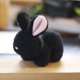 thumbnail image 1 of Precioso muñeco de peluche de conejo y oso, conejo, llavero, colgante de bolsa, juguetes de peluche, regalo de cumpleaños para bebés y niños, conejo de juguete, anillo, 1 of 5