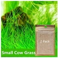 thumbnail image 4 of 2 Pack Aquarium Grass Plants Seeds Water Plant Seeds, 0.35oz/Pack Water Grass Seed for Fish Tank Decoration, Creates Lush Green Carpet Plant, 4 of 5