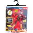 thumbnail image 4 of The Flash Child Costume, 4 of 5