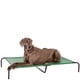 thumbnail image 1 of Cama elevada, transpirable para perros con marco de metal duradero, para perros extra grandes, XL, 152 cm x 94 cm x 23 cm, verde, 1 of 5