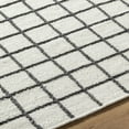 thumbnail image 6 of BoutiqueRugs Tauri Traditional, Transitional Area Rug - Ivory, Charcoal - 2' x 3', 6 of 6