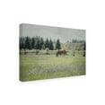 thumbnail image 2 of Elizabeth Urquhart 'Sun Drenched II' Canvas Art, 2 of 3