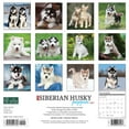 thumbnail image 4 of Just Siberian Husky Puppies 2023 Wall Calendar (Other), 4 of 4