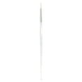 thumbnail image 6 of CL259 Series | Clear Choice™ White Taklon Round Brush, 6 of 9