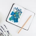 thumbnail image 5 of Colorful Natural Dried Flowers and Embossed Decorative Set, 5 of 5