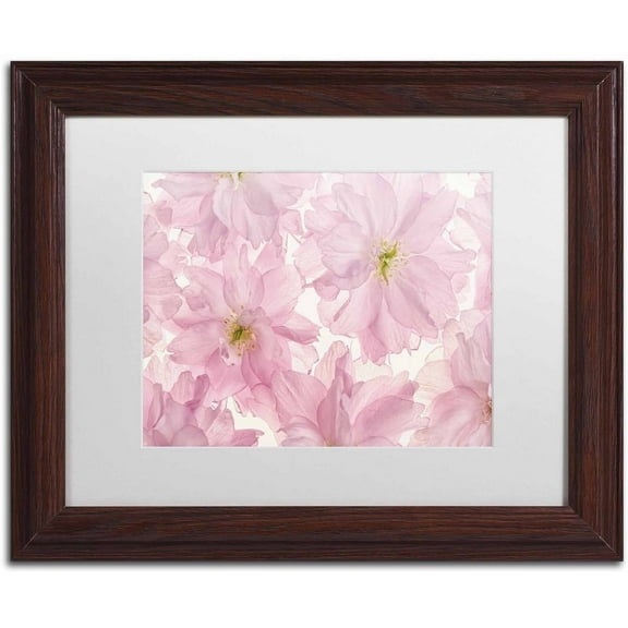 Trademark Fine Art 'Pink Cherry Blossom' Canvas Art by Cora Niele, White Matte, Wood Frame