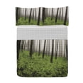 thumbnail image 1 of Forest Reversible Bedspread Set, Fantasy Woodland Under Heavy Fog Tall Trees Bushes Contrast Colors, Pillow Shams & Comforter Microfiber Bedding Set, 3 Sizes, Green Brown Lime Green, by Ambesonne, 1 of 4