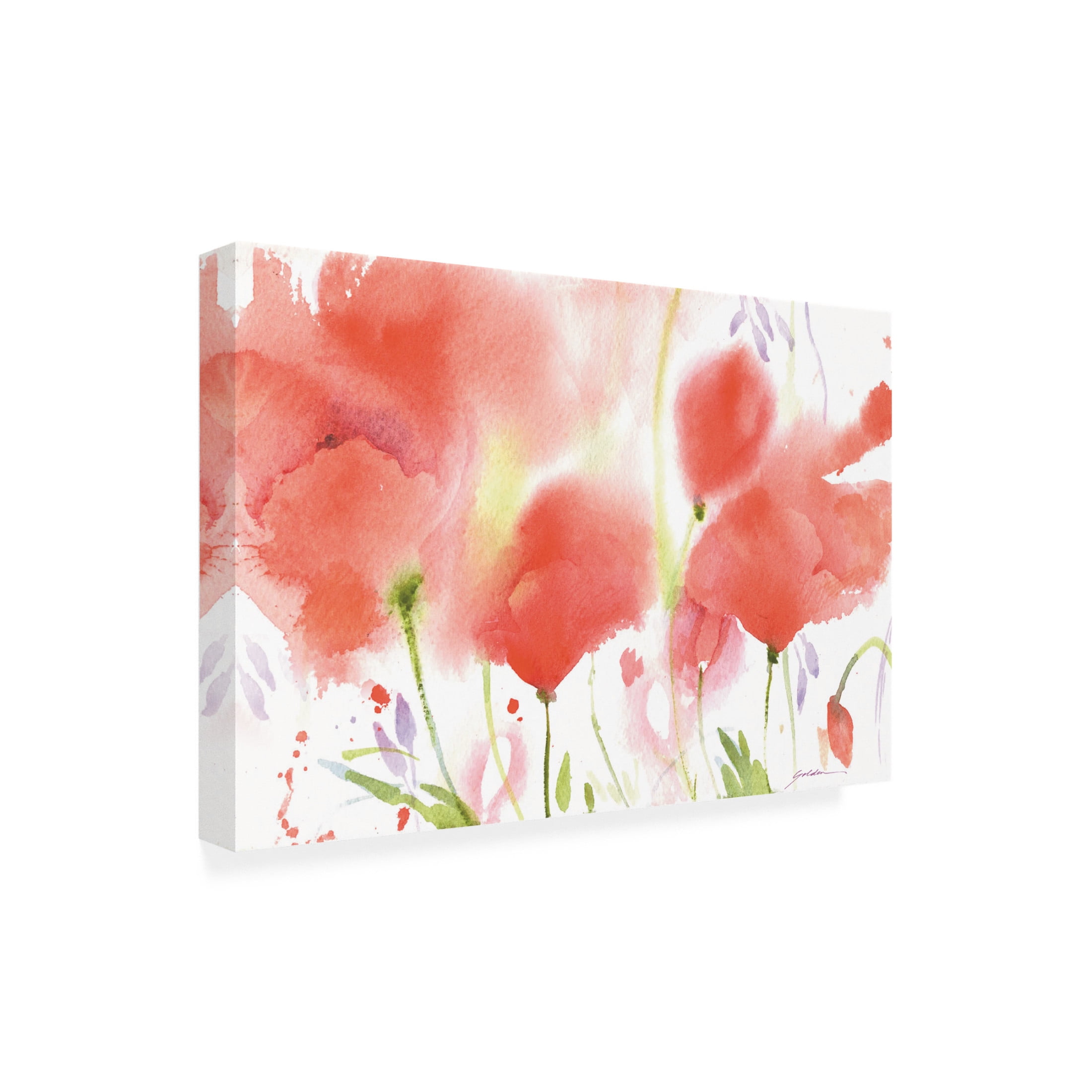 Canvas Wall Art - Sheila Golden 'Poppy Perfection' Wall Art for Living Room, Bedroom, or Office Décor by Trademark Fine Art - 24 x 16 Inches