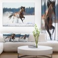 thumbnail image 1 of Horse Running in Winter - Landscape Photography Canvas Print, 1 of 3