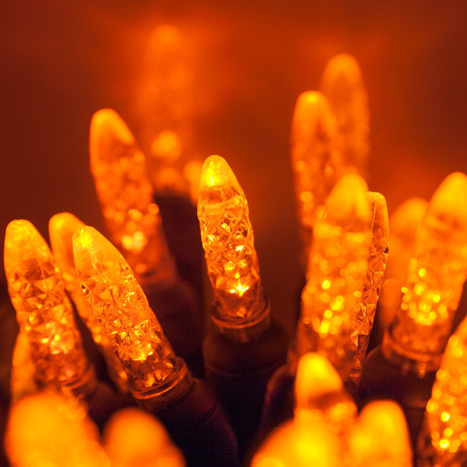 Wintergreen Lighting 70 Orange LED Christmas Tree Lights, 4" Spacing