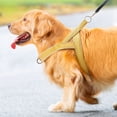 thumbnail image 3 of Pet No Pull Dog Harness with Breathable Mesh Padded, Adjustable Reflective Escape Proof Australian Dog Harness, Quick Fit Dog Vest Harness for Small Medium Large Dogs, 3 of 9
