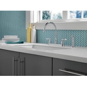 Delta Windemere Two Handle Kitchen Faucet in Chrome 21996LF