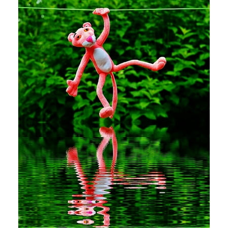 Laminated Poster Mirroring Plush Toys Water Hang Out Poster Print 11 x (Best Out Of Waste Photos)