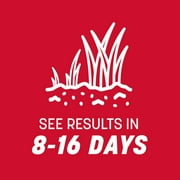 Pennington Rebels Tall Fescue Grass Seed, for Sun to Partial Shade, 3 lb.