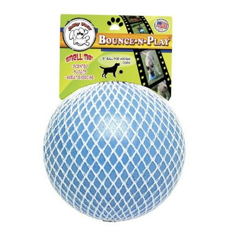 UPC: 0788169250633 | Jolly Pet Bounce n Play Ball  6  Blueberry Dog Toy