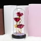 thumbnail image 3 of Flor De Rosa Encantada En Cúpula De Cristal Luz LED Decoración Del Día De San Valentín Rosa Roja Sunnimix Flor rosa de hadas, 3 of 8