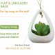 thumbnail image 3 of Simulación de mini planta suculenta en maceta, decoración del hogar, escritorio, decoración de cuarto de ducha, 3 of 5
