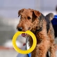 thumbnail image 4 of SPRING PARK Dog Training Ring Fitness Tool Flying EVA Interactive Pet Toy for Small Medium Large Dogs, 4 of 8