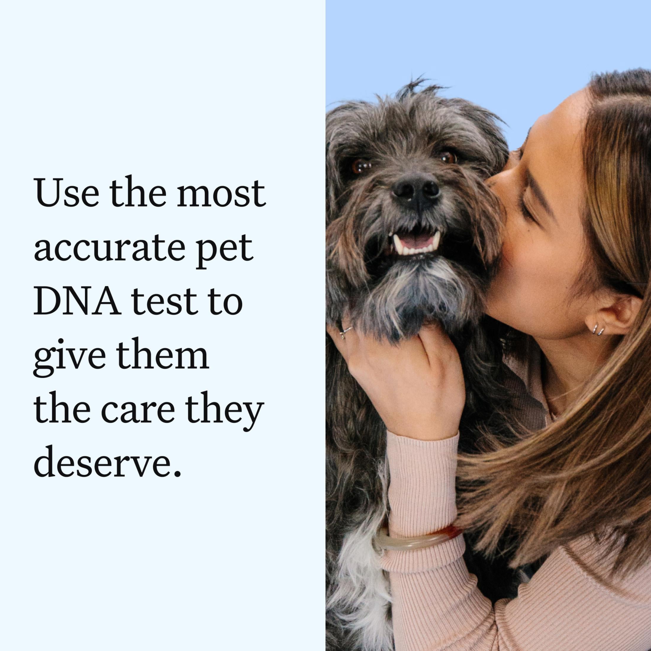 Wisdom Panel Essential Dog DNA Testing Kit, Most Accurate Test, 430+ Dog Breeds, 30 Genetic Health Conditions, 50+ Traits, Relatives, Ancestry, 1 Pack