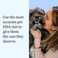 thumbnail image 2 of Wisdom Panel Essential Dog DNA Testing Kit, Most Accurate Test, 430+ Dog Breeds, 30 Genetic Health Conditions, 50+ Traits, Relatives, Ancestry, 1 Pack, 2 of 8