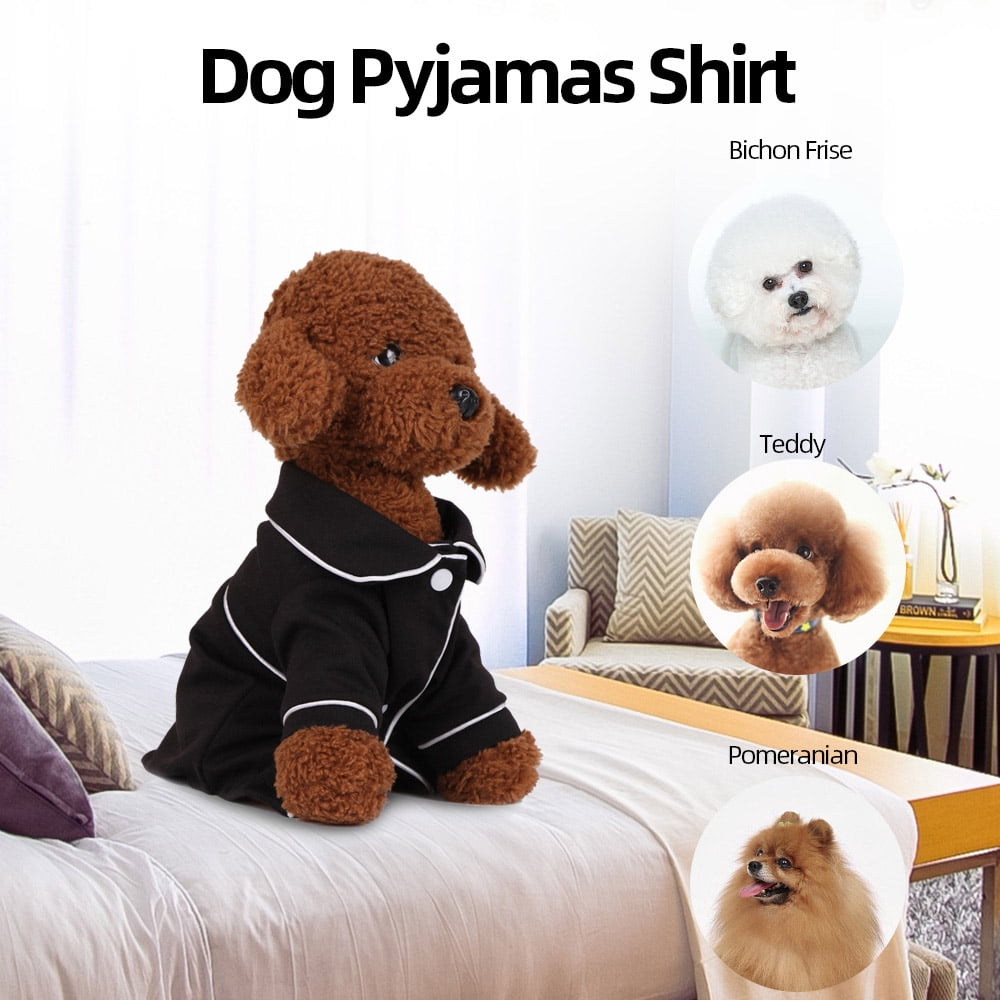 bichon frise clothes