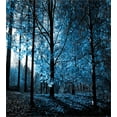 thumbnail image 3 of Woodland Duvet Cover Set, September Afternoon in Woodland Autumn Nature Picture Print, Decorative 3 Piece Bedding Set with 2 Pillow Shams, Queen Size, Blue Black, by Ambesonne, 3 of 3