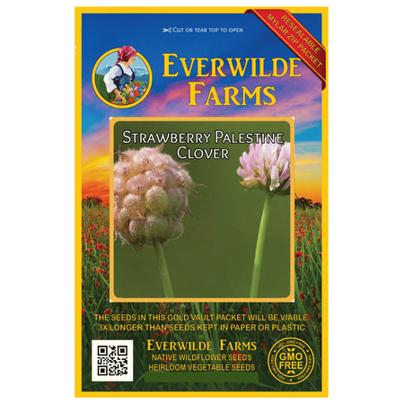 Everwilde Farms - 500 Strawberry Palestine Clover Garden Flower Seeds - Gold Vault Jumbo Bulk Seed