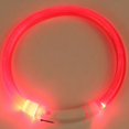 thumbnail image 2 of LED Dog Collar, USB Rechargeable Glowing Lighted Up Collar, Cuttable Water-Resistant TPU Safety Collar Lights for Small Medium Large Dogs, Red L, 2 of 11
