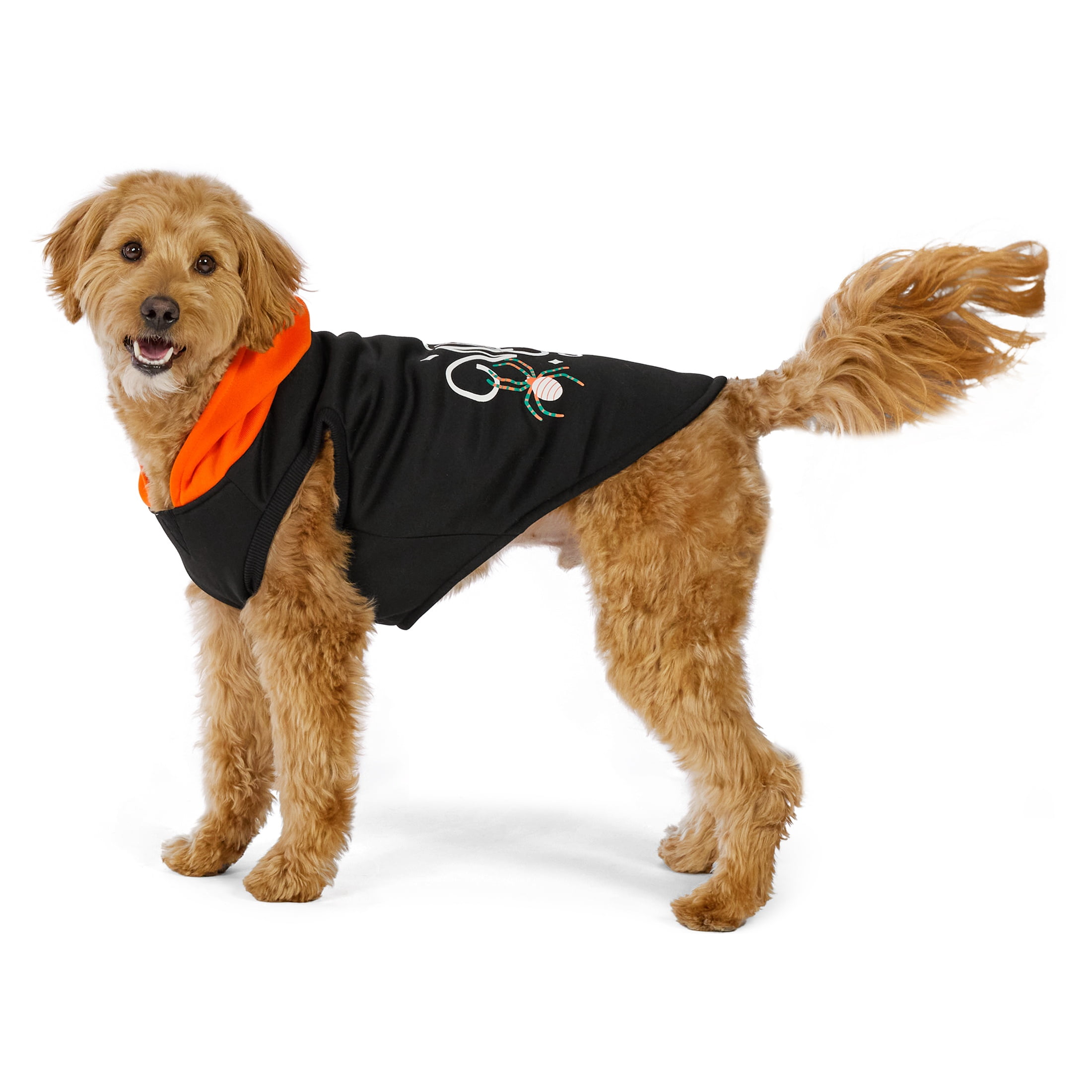 Vibrant Life Halloween Hoodie for Dogs, Witch Please, Orange and Black, M