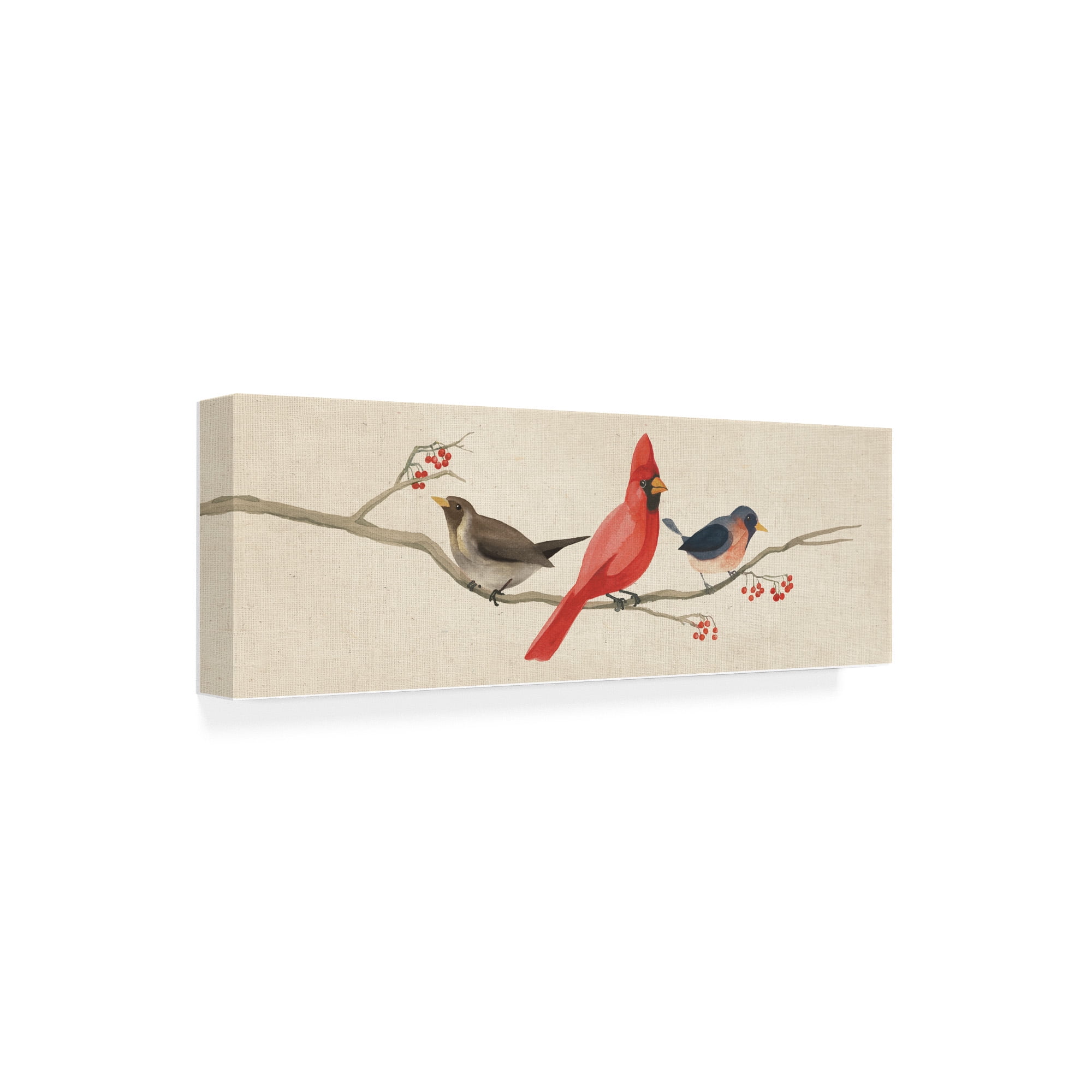 Trademark Fine Art 'Festive Birds Panel II Linen' Canvas Art by Danhui Nai